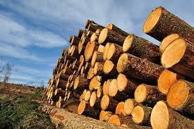 Luli Wood Industry