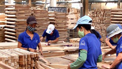 Wood supplier China