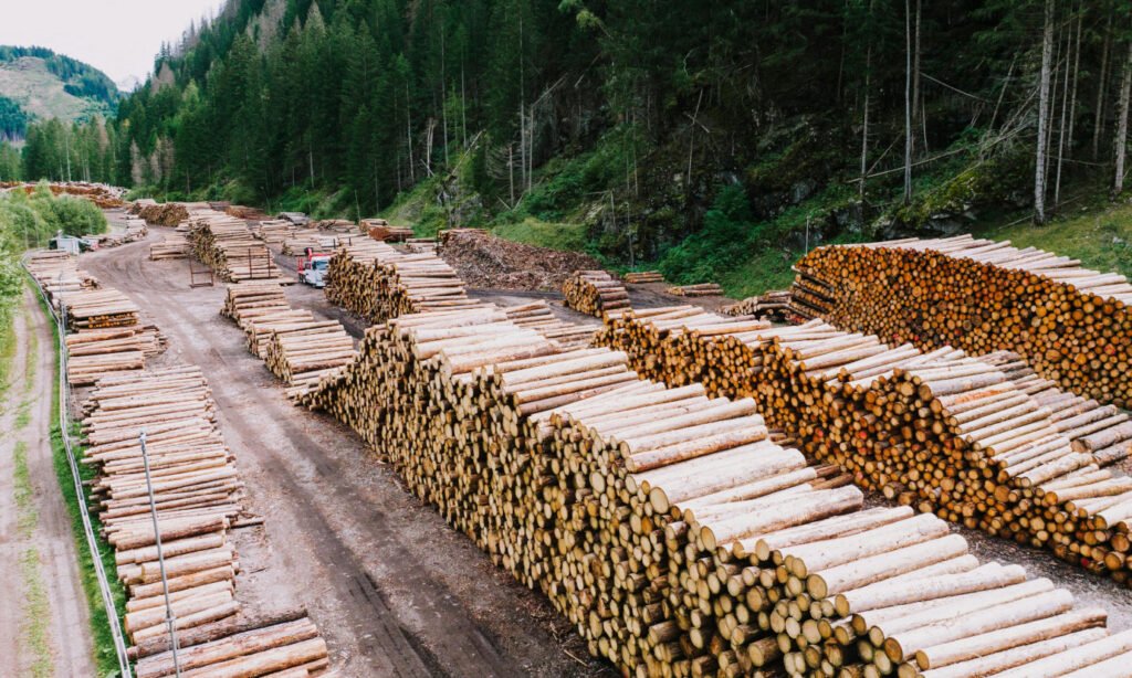 Next-Generation Wood