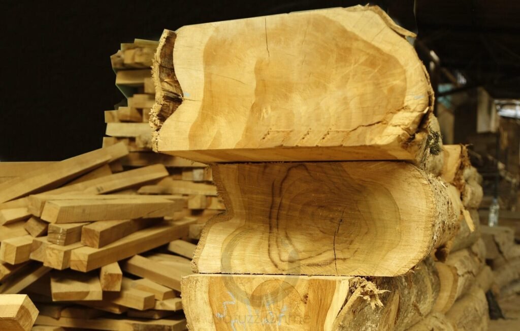 Advanced Wood Materials