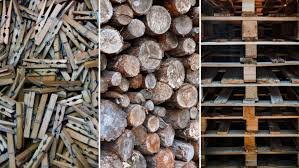 Next-Generation Wood