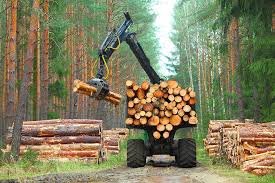 Wood industry