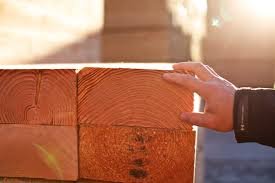 High-Performance Wood Materials