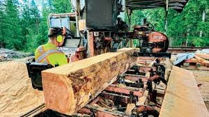 Eco-Advanced Timber Solutions