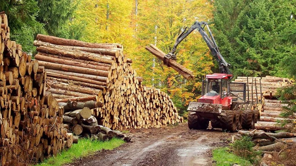 Innovative Wood Solutions